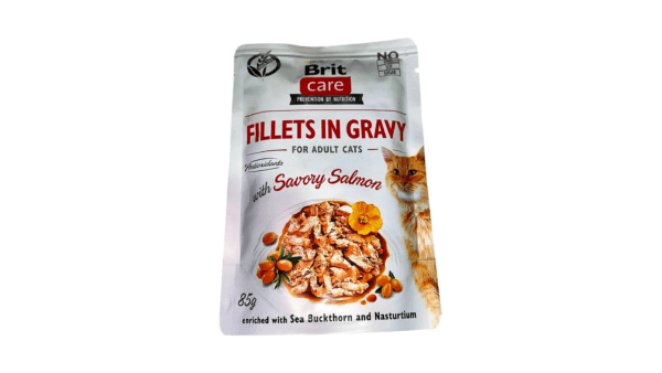 Cat Food Wet