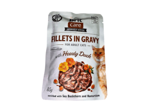 Cat Wet Food