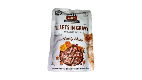 Cat Wet Food