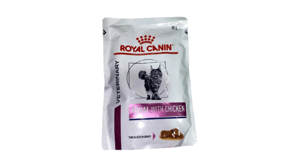 Cat Wet Food