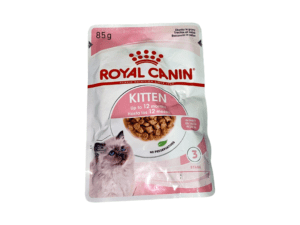 Cat Wet Food