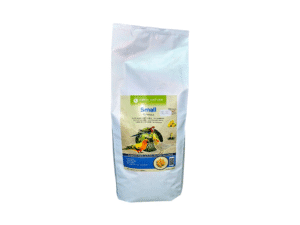 Birds Food