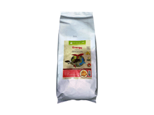 Birds Food
