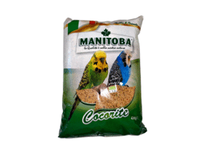 Birds Food