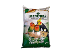 Birds Food