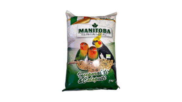 Birds Food