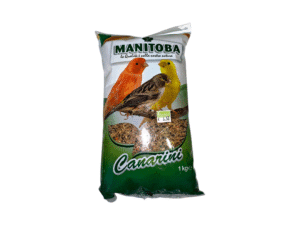 Birds Food