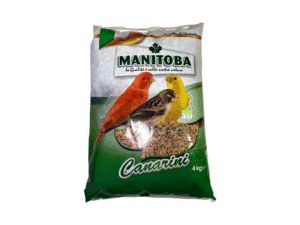 Birds Food