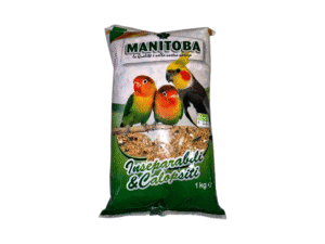 Birds Food