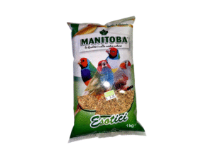 Birds Food