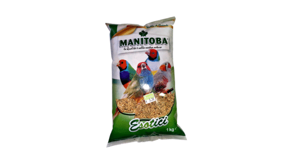Birds Food