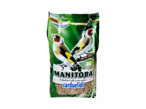 Birds Food