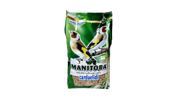 Birds Food