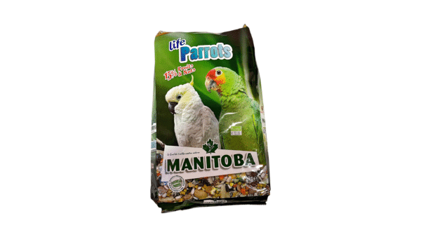 Bird Food