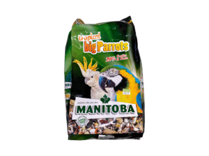Birds Food