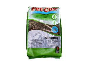 Birds Food