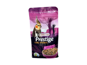 Birds Food