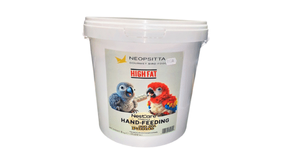 Birds Food