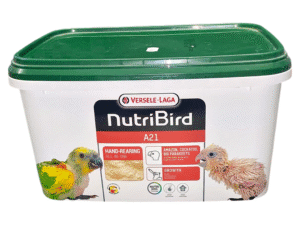 Birds Food