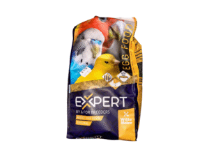 Birds Food