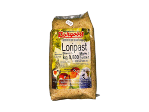 Birds Food