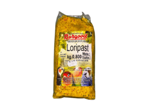Birds Food