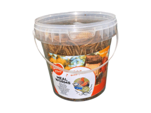 Birds Food