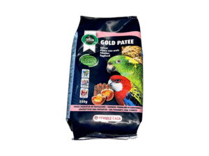 Birds Food