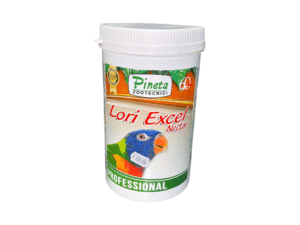 Birds Food