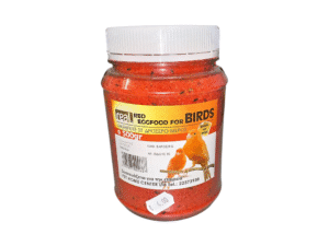 Birds Food