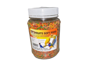 Birds Food