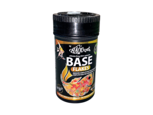 Fish Food