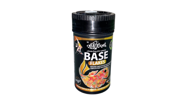 Fish Food