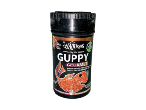 Fish Food