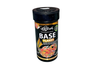 Fish Food