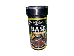 Fish Food