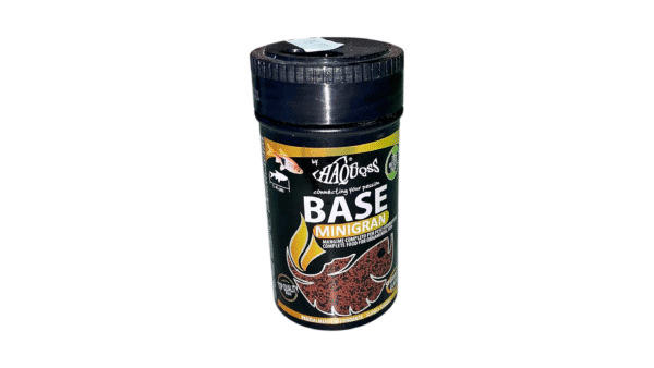 Fish Food