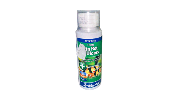Fish Liquid