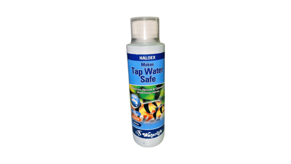 Fish Liquid