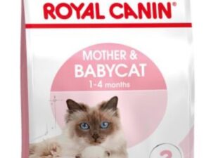 Royal Canin Cat Food