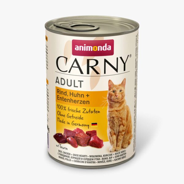 Cat Wet Food