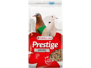 Birds Food