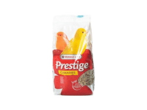 Birds Food
