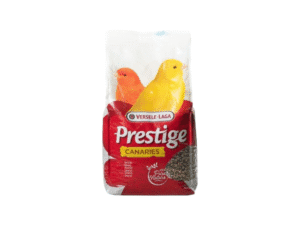 Birds Food