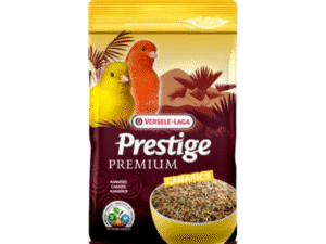 Birds Food