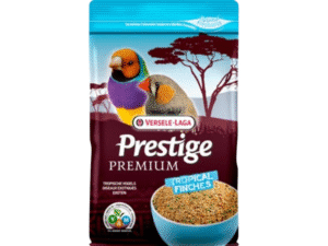 Birds Food