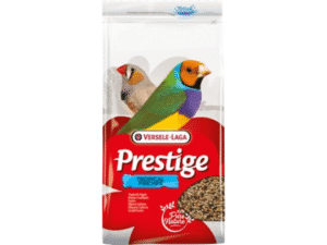 Birds Food