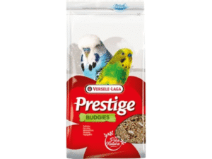 Birds Food