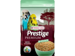 Birds Food