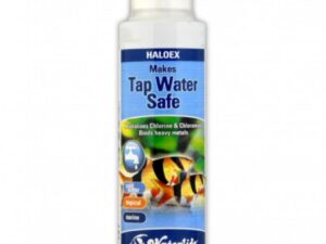 Fish Liquid